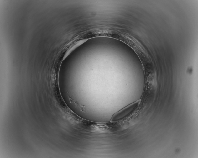 X0000098200372200805011153