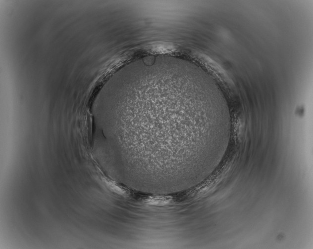 X0000098200373200805011153