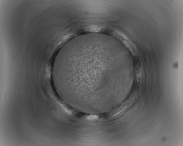 X0000098200374200805011153