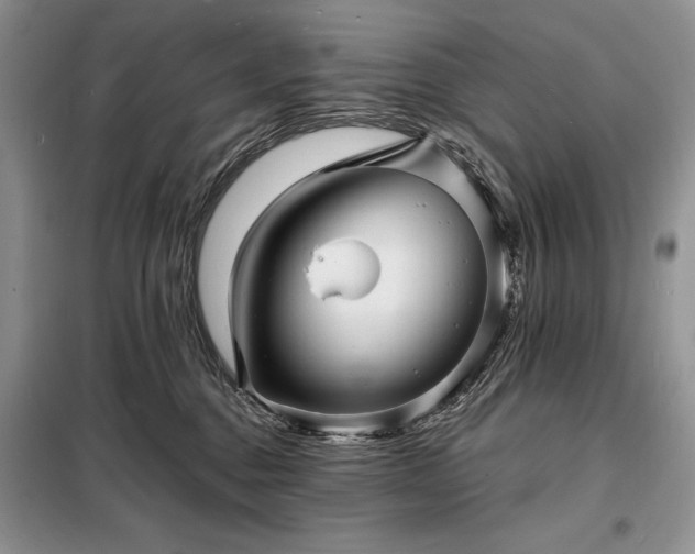 X0000098200376200805011153