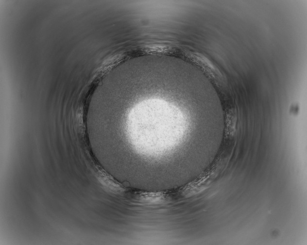 X0000098200377200805011153