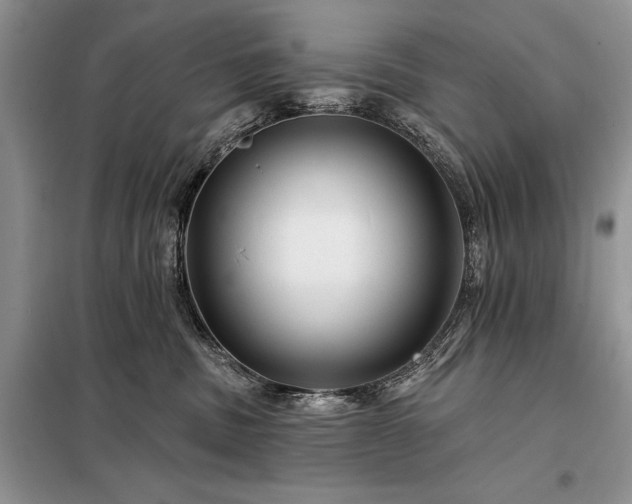 X0000098200379200805011153