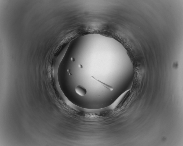 X0000098200380200805011153