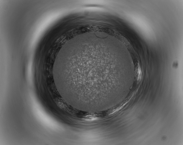 X0000098200381200805011153