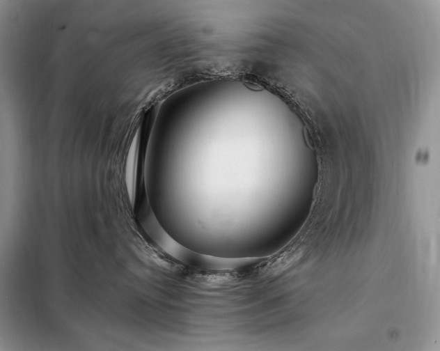 X0000098200384200805011153