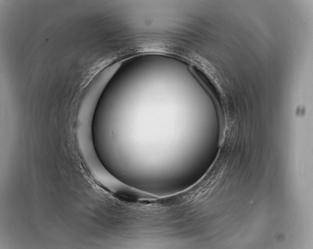 X0000098200385200805011152