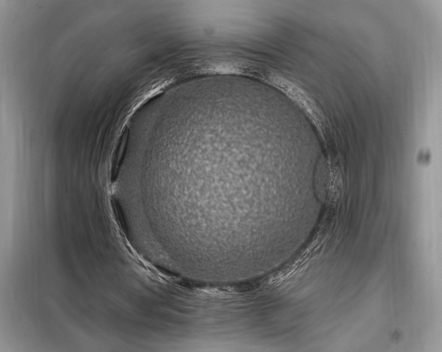 X0000098200386200805011152