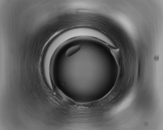 X0000098200387200805011152