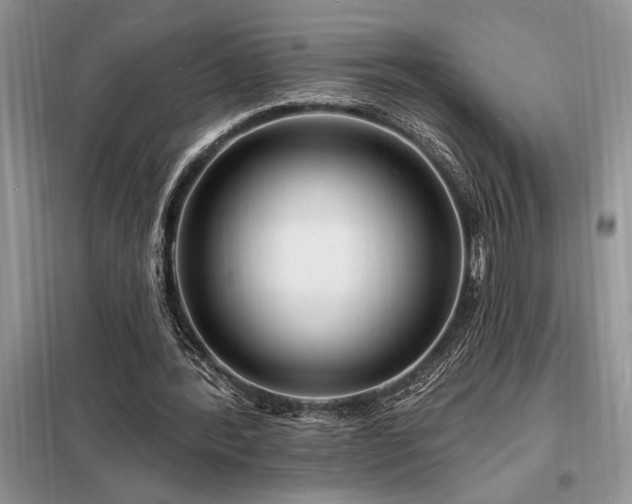 X0000098200388200805011152