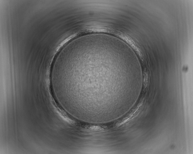 X0000098200390200805011152