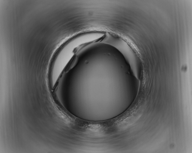 X0000098200391200805011152