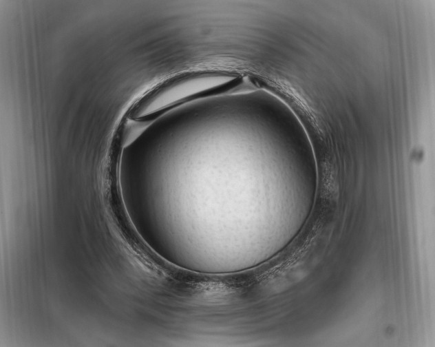X0000098200392200805011152