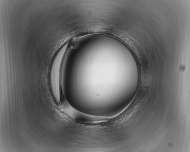 X0000098200393200805011152