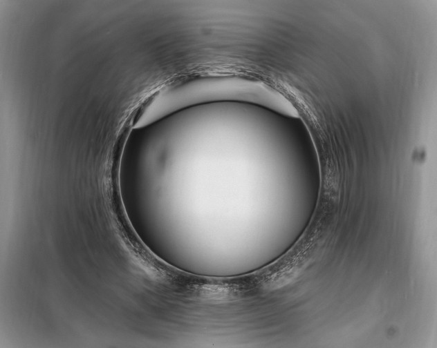 X0000098200394200805011152