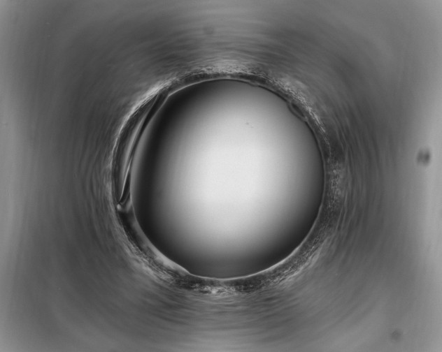X0000098200395200805011152