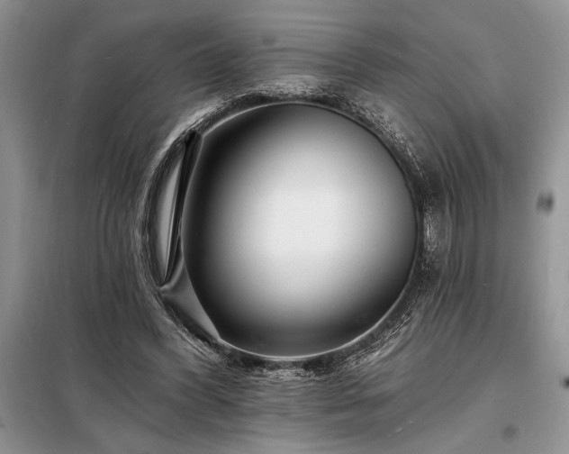 X0000098200396200805011152