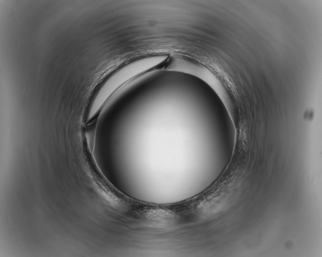 X0000098200397200805011152