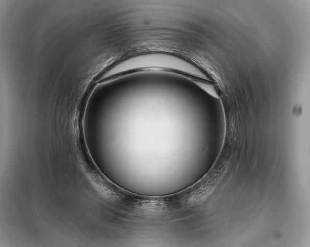 X0000098200398200805011152