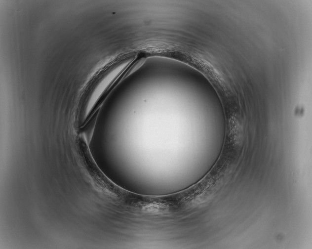 X0000098200400200805011152