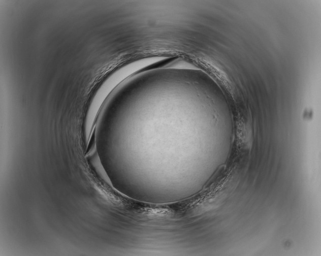 X0000098200401200805011152