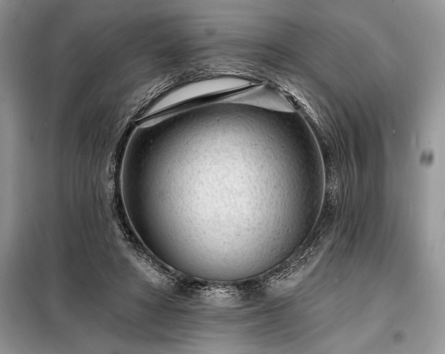 X0000098200402200805011152