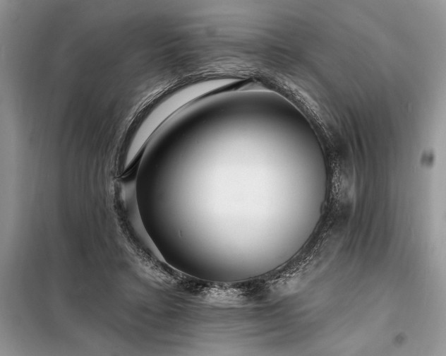 X0000098200403200805011152