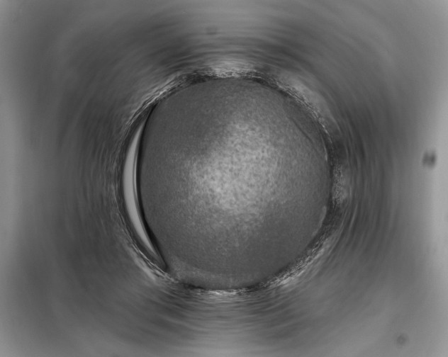 X0000098200405200805011152