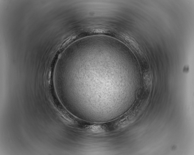 X0000098200406200805011152