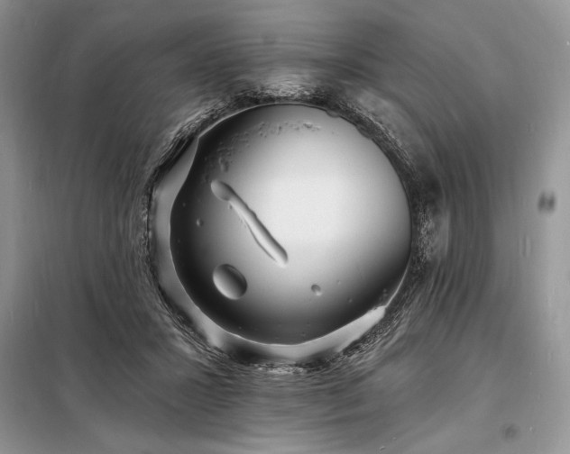 X0000098200407200805011152