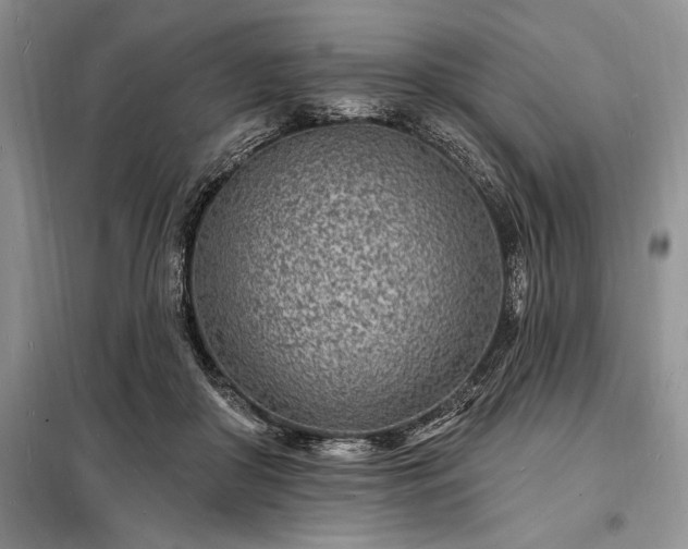 X0000098200410200805011152