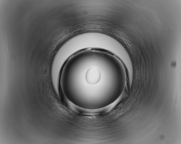 X0000098200411200805011152