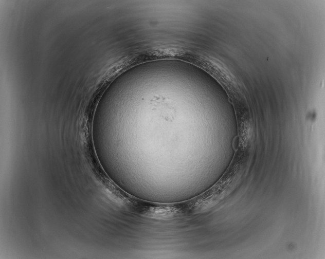 X0000098200414200805011151