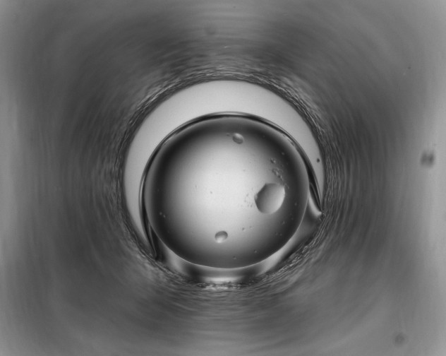 X0000098200415200805011151