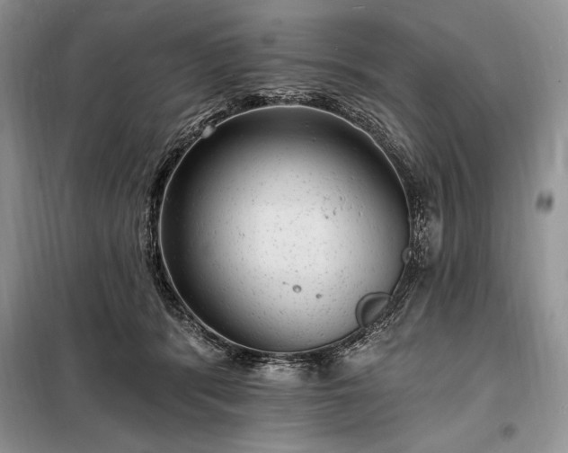 X0000098200416200805011151