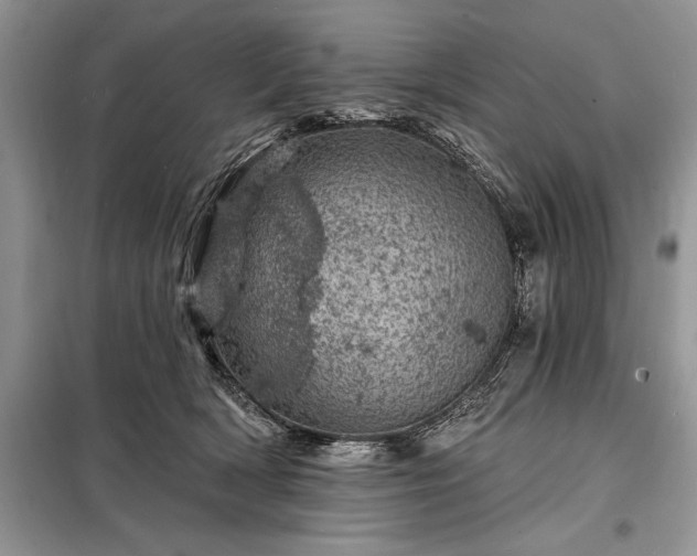 X0000098200418200805011151