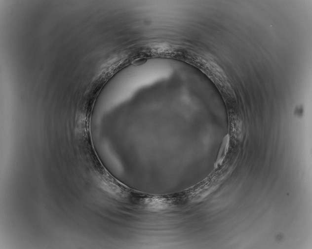 X0000098200419200805011151