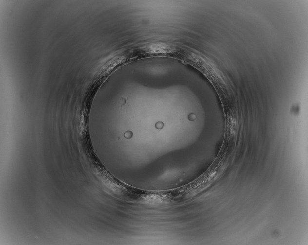 X0000098200422200805011151