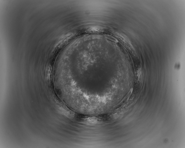 X0000098200423200805011151
