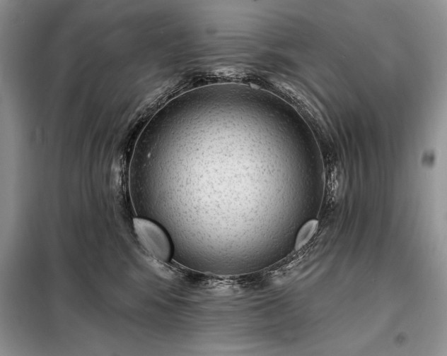 X0000098200424200805011151