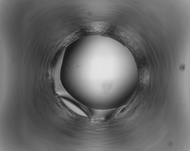 X0000098200425200805011151