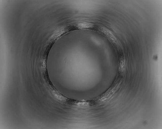 X0000098200426200805011151
