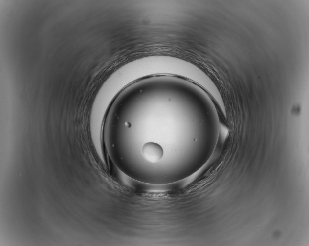 X0000098200427200805011151