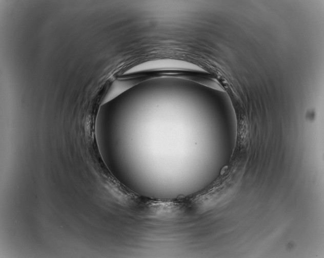 X0000098200428200805011151