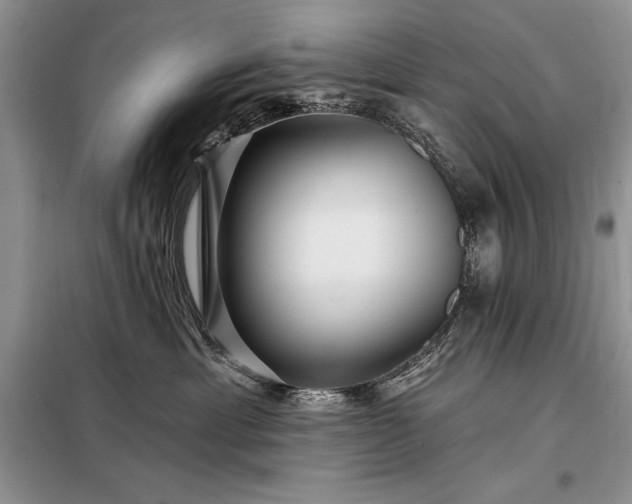 X0000098200429200805011151