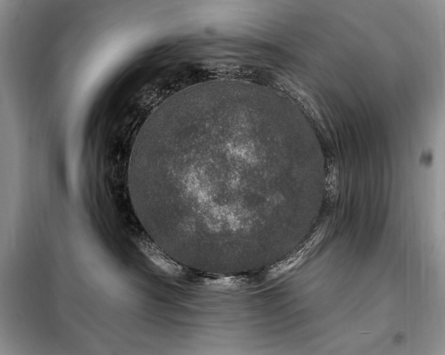 X0000098200430200805011151