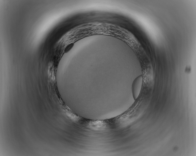 X0000098200431200805011151