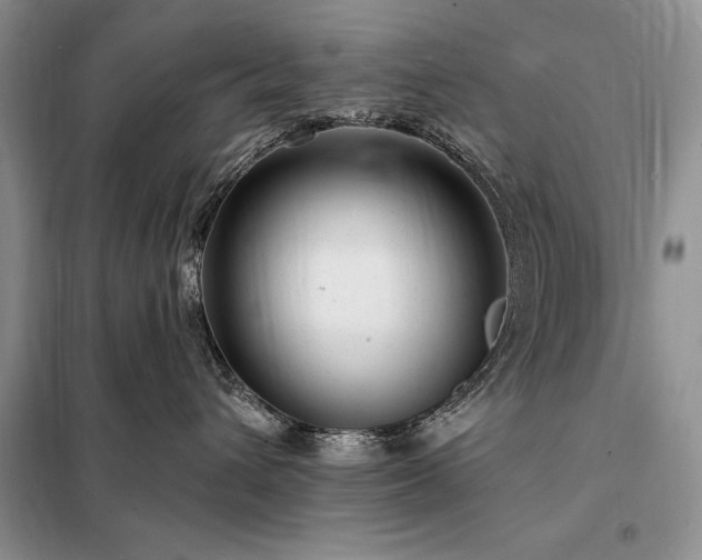 X0000098200432200805011151
