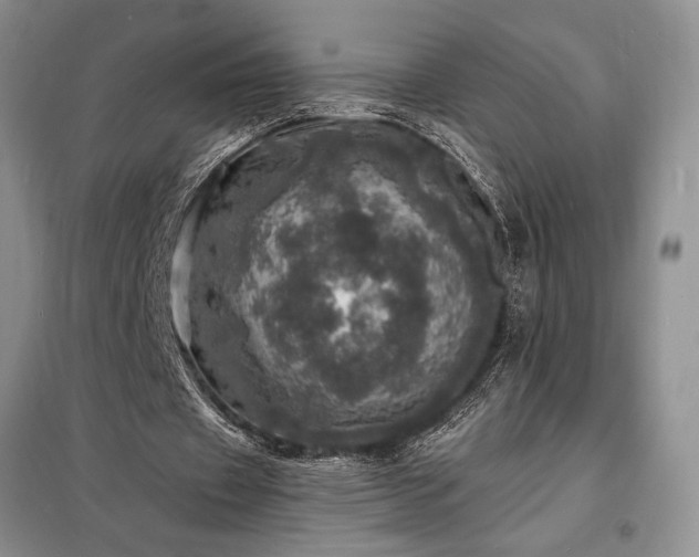 X0000098200433200805011150