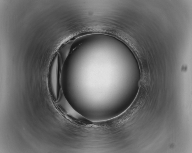 X0000098200434200805011150