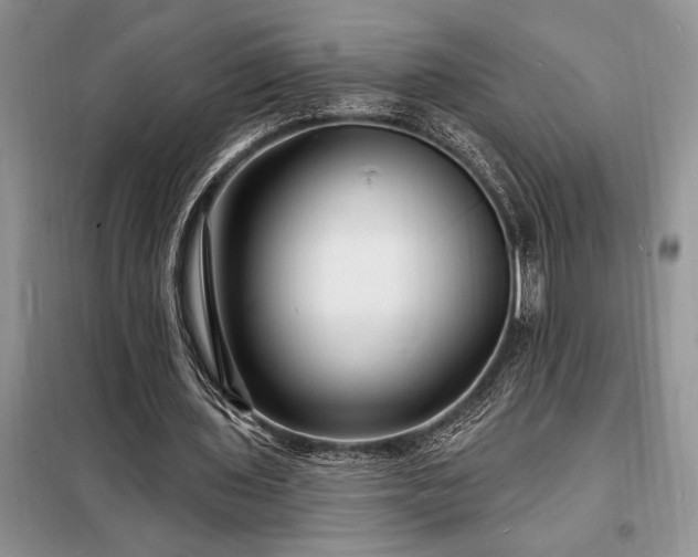 X0000098200435200805011150